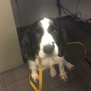 Meet your Posher, Nick